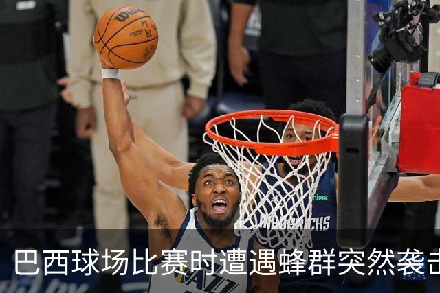 巴西球场比赛时遭遇蜂群突然袭击，大家不得不集体趴倒躲避
